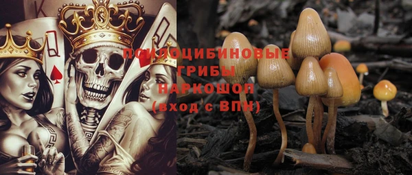 стаф Нязепетровск