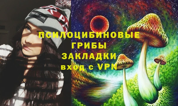 прущий лед Козловка