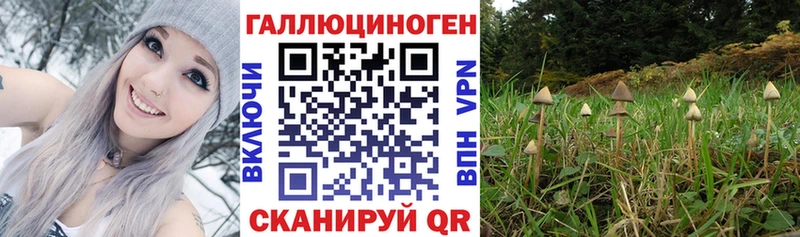 Псилоцибиновые грибы GOLDEN TEACHER KRAKEN зеркало Красновишерск закладка